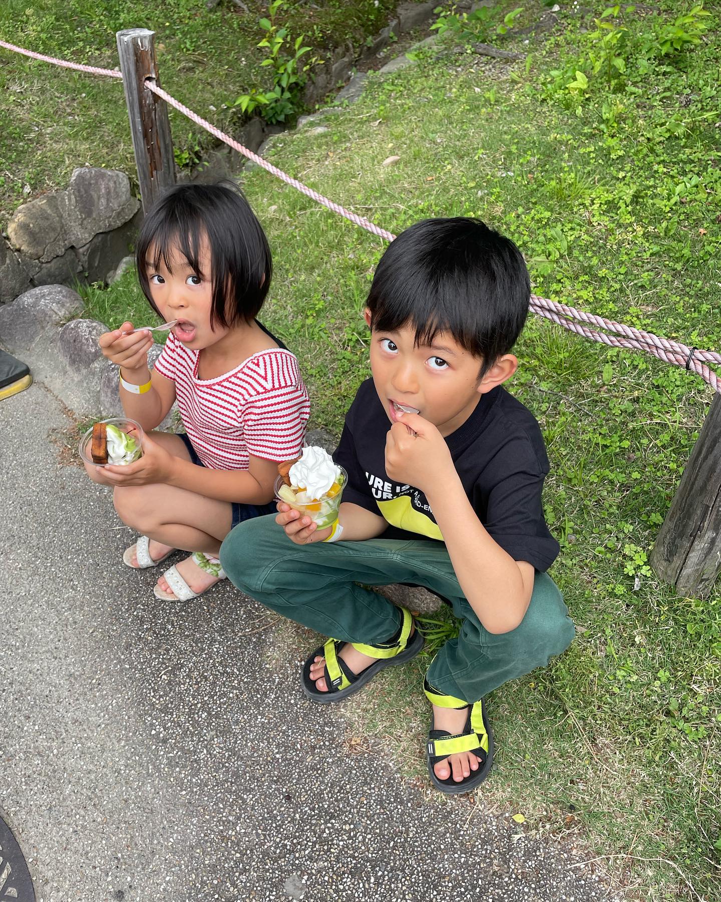 GWの休みにどこにも行かなかったので
名古屋港水族館と名古屋城に行ってきました。
水族館よりも隣の遊園地のが喜んで経って
まぁ楽しそうで良かったです！
